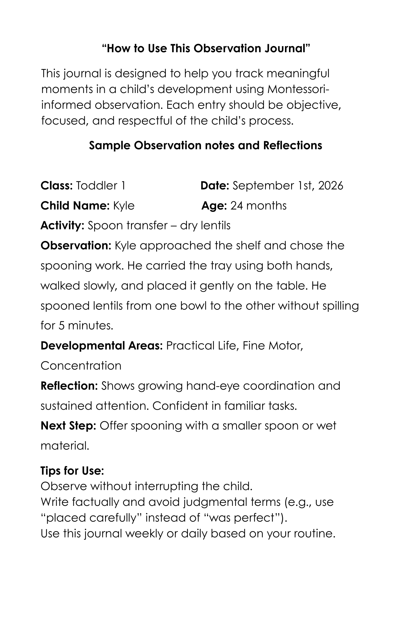 MY MONTESSORI  OBSERVATION  JOURNAL (100pages)