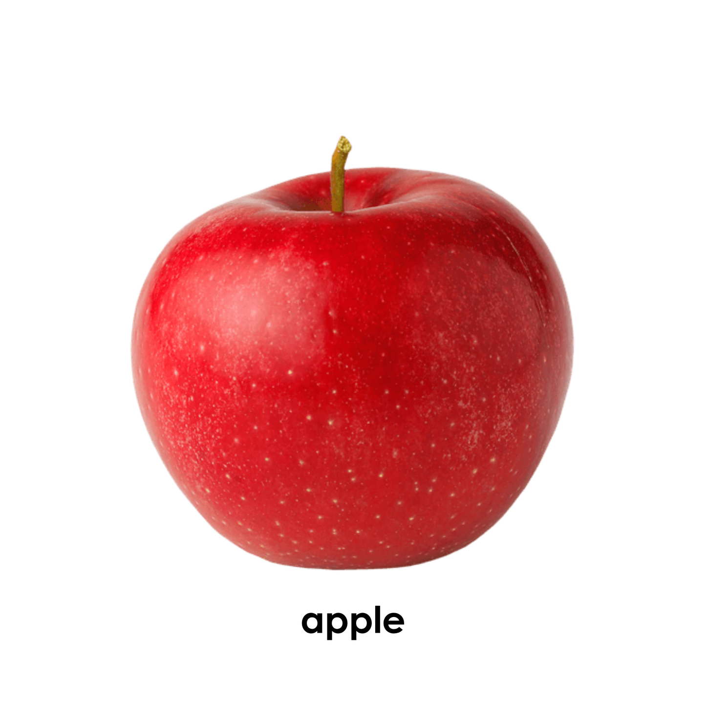 My First Book of Fruits