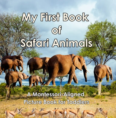 Book Cover Variant Thumbnail