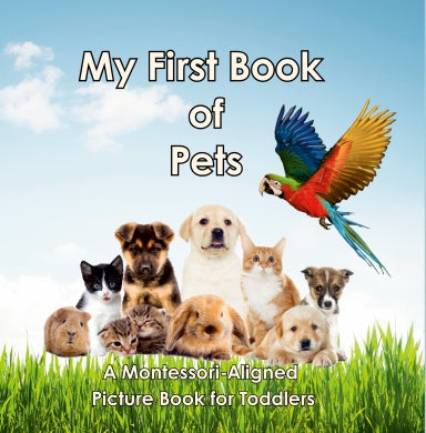 Book Cover Variant Thumbnail