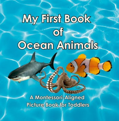 Book Cover Variant Thumbnail