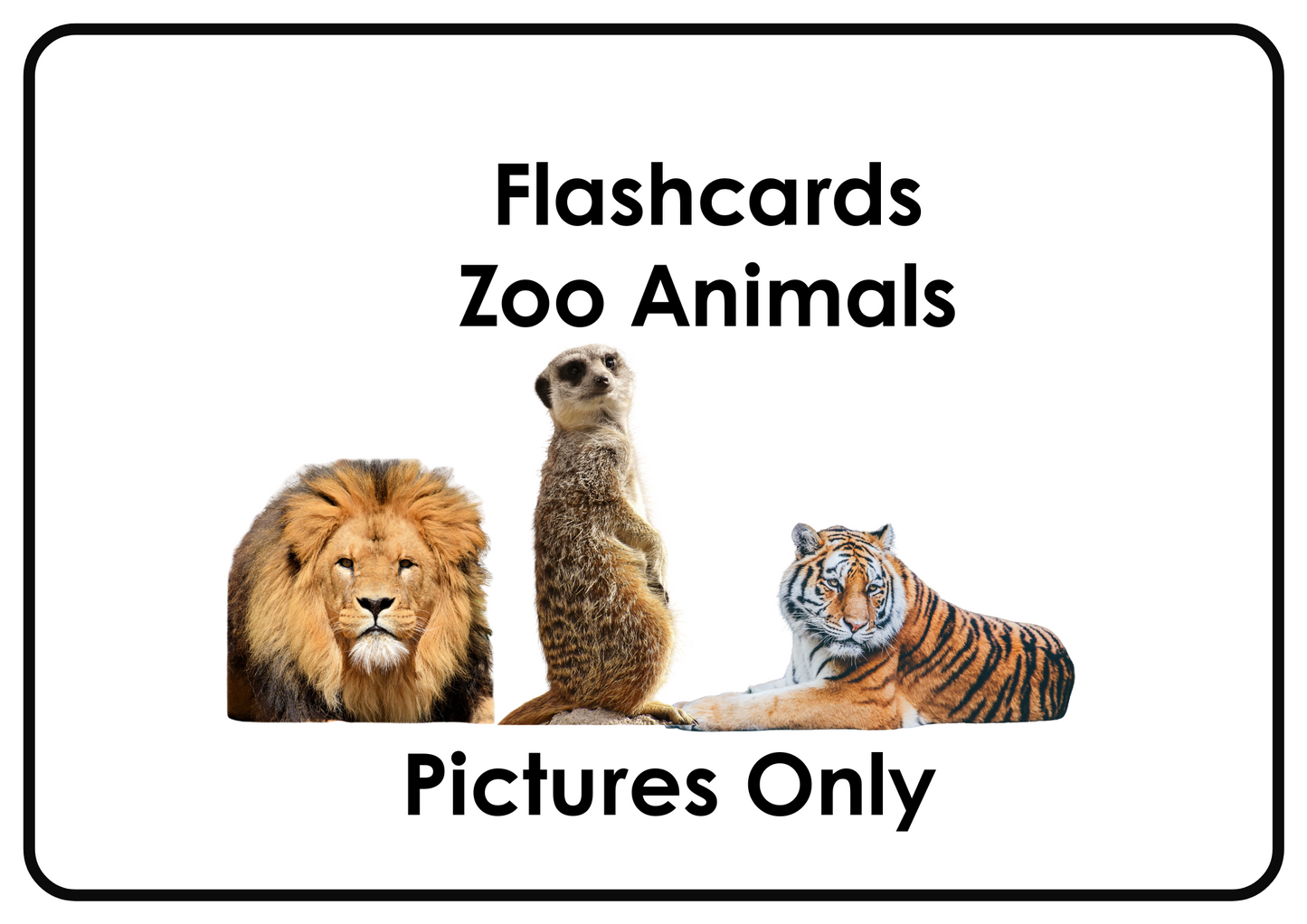 Zoo Animals – Printable Montessori Flashcards (Pictures Only) (A4 Landscape)
