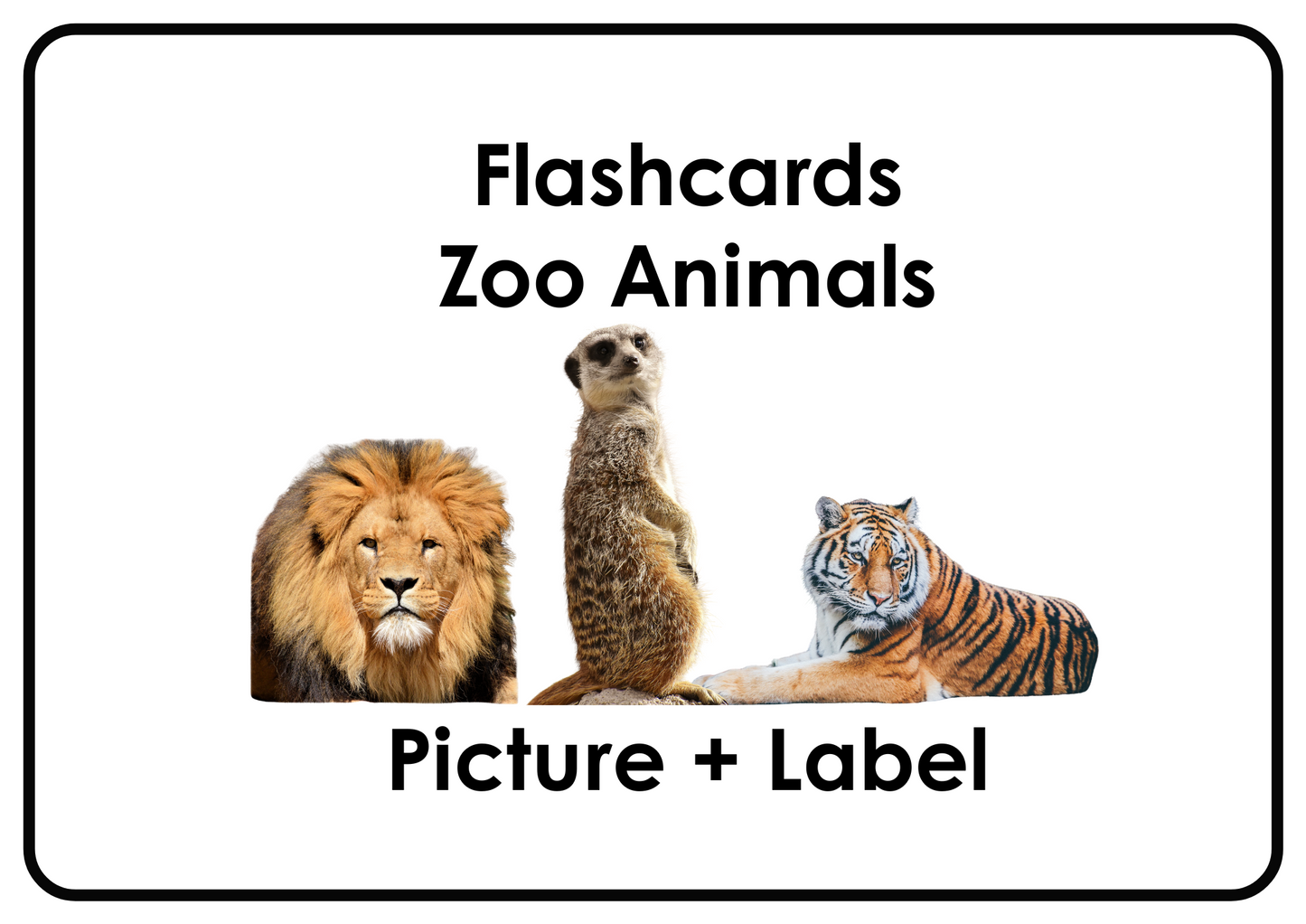 Zoo Animals – Printable Montessori Flashcards Picture+Label (A4 Landscape)