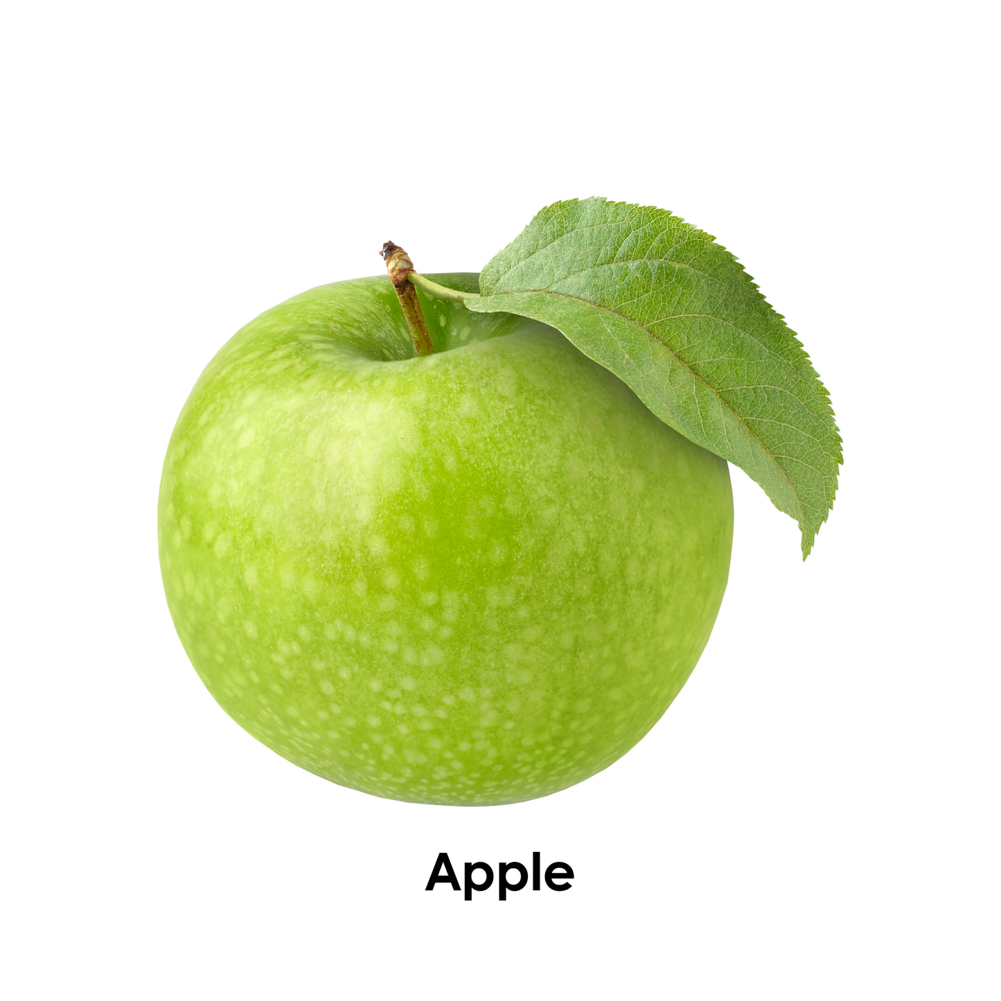 I Spy the Color Green