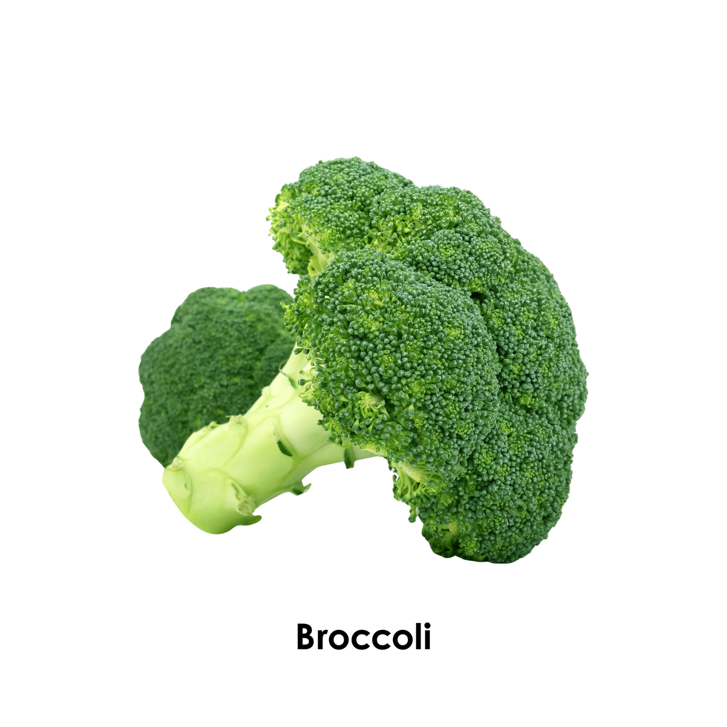 I Spy the Color Green