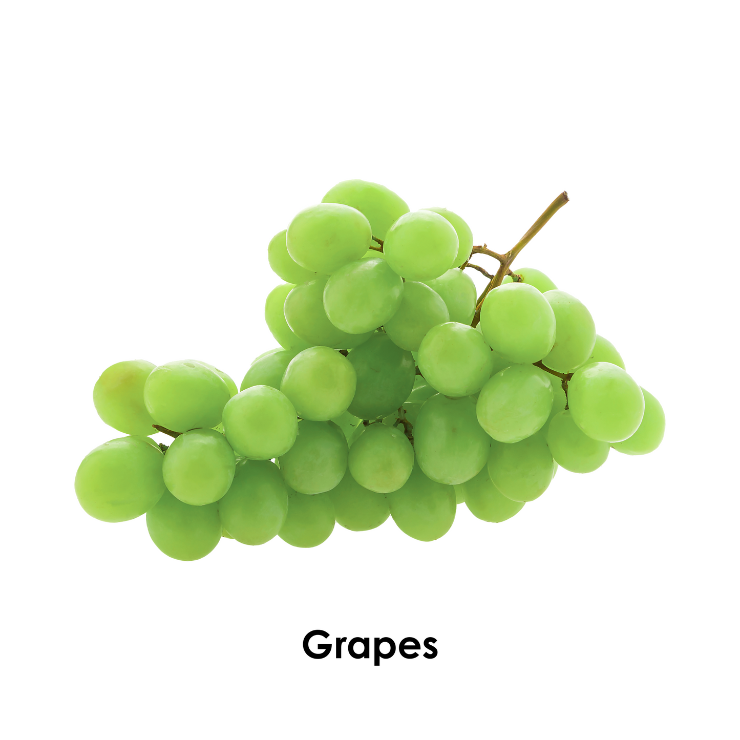 I Spy the Color Green