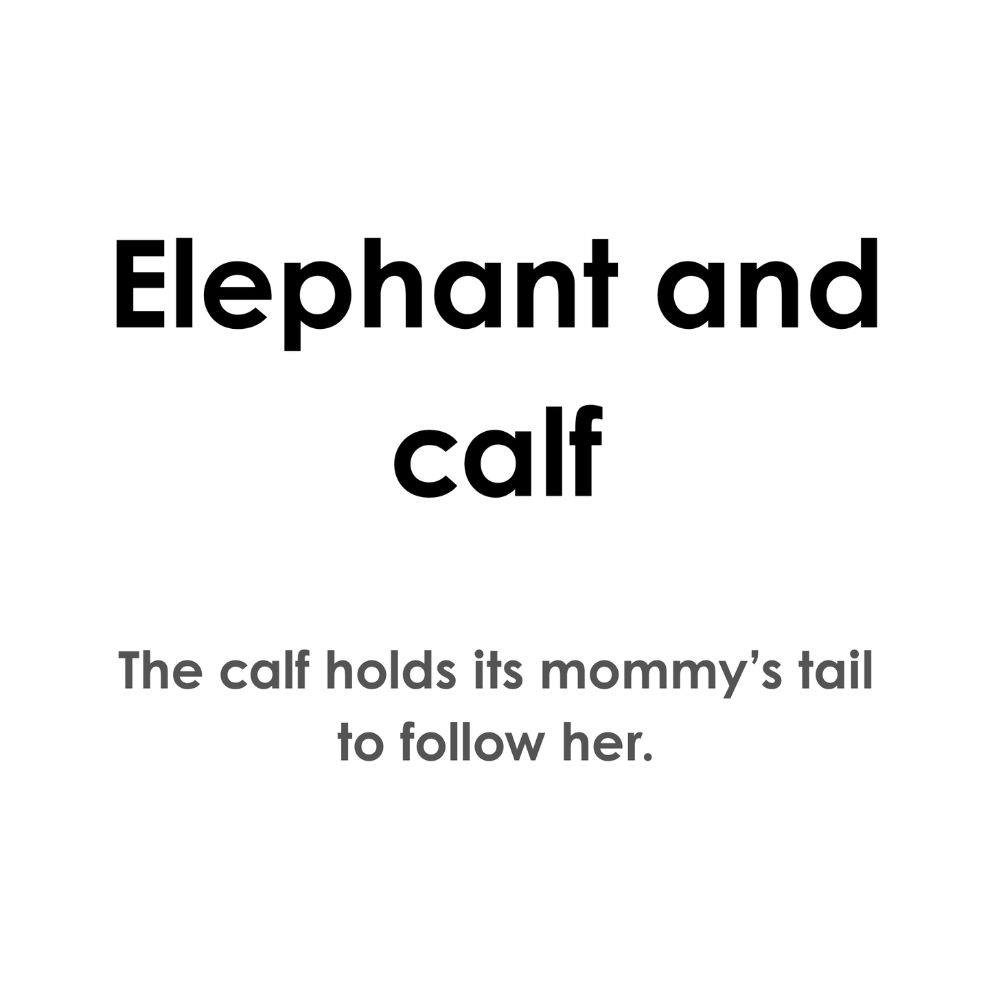 Mommy and Me: Animals in Nature (Picture Book)