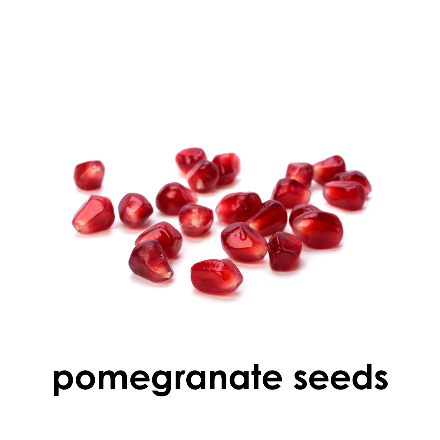 My First Book  of Seeds