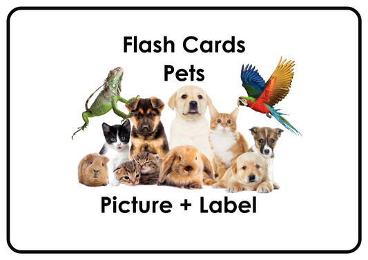 Pets – Printable Montessori Flashcards Picture+Label (A4 Landscape)