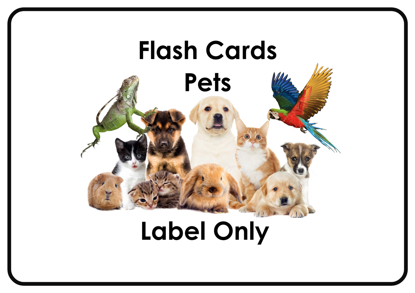 Pets Animals – Printable Montessori Flashcards (Labels Only) (A4 Landscape)