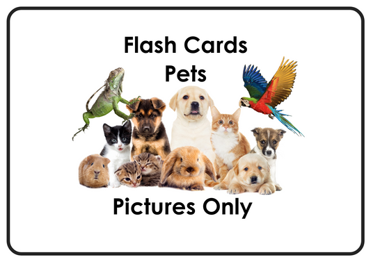 Pets – Printable Montessori Flashcards (Pictures Only) (A4 Landscape)