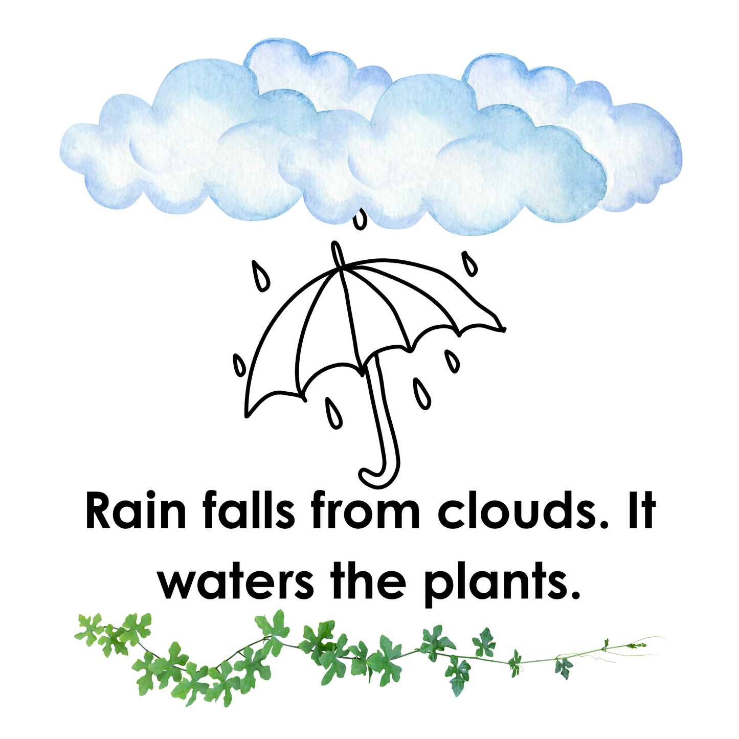 Sun, Rain, Snow: Learning About Weather (Picture Book)