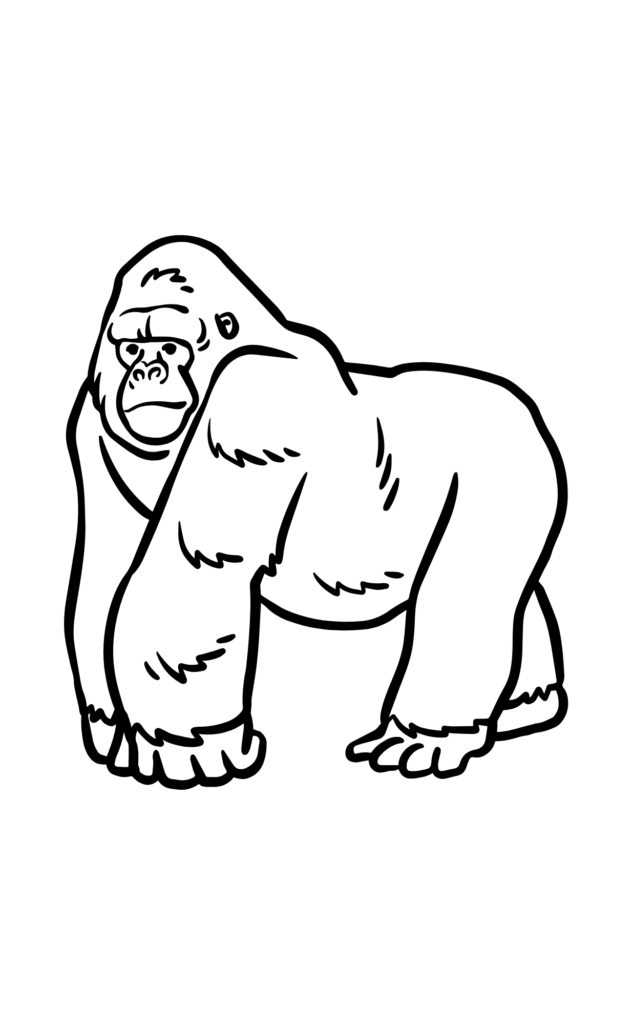 Bundle Color Me Montessori – Zoo Animals (Standard + Mini Toddler Edition)