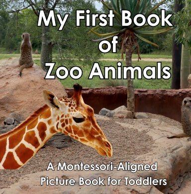 Book Cover Variant Thumbnail