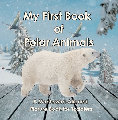 Book Cover Variant Thumbnail