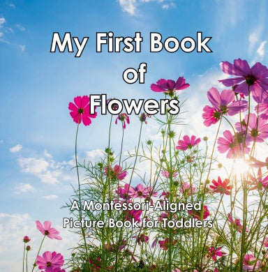 Book Cover Variant Thumbnail