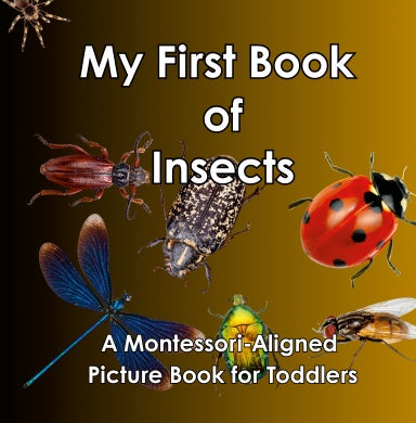 Book Cover Variant Thumbnail