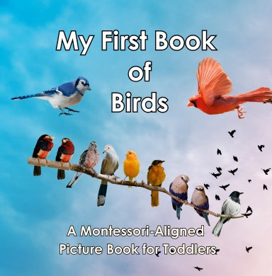 Book Cover Variant Thumbnail