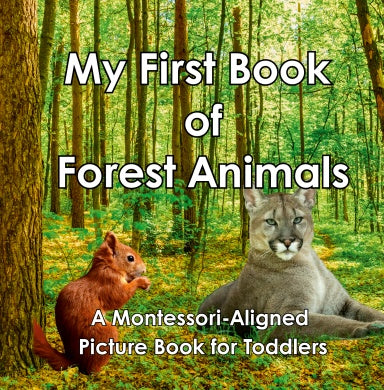 Book Cover Variant Thumbnail